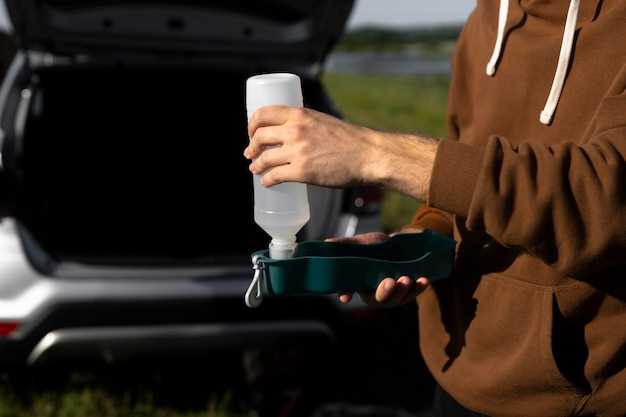 Технологические и механические методы удаления крыс с автостоянки