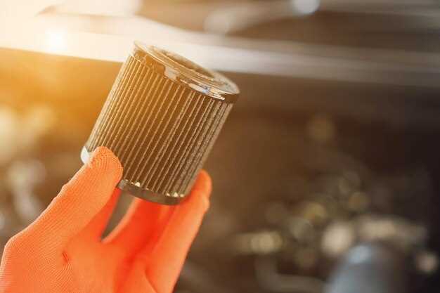 Обзор места расположения фильтра и сливных пробок