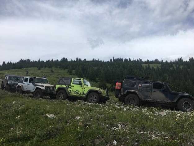 Обслуживание и уход: регулярные работы для сохранения характеристик