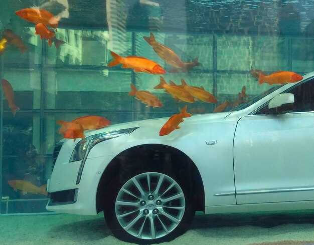 Двигатели и трансмиссия: основные вариации и их параметры