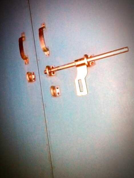 Регулировка положения двери и защелки