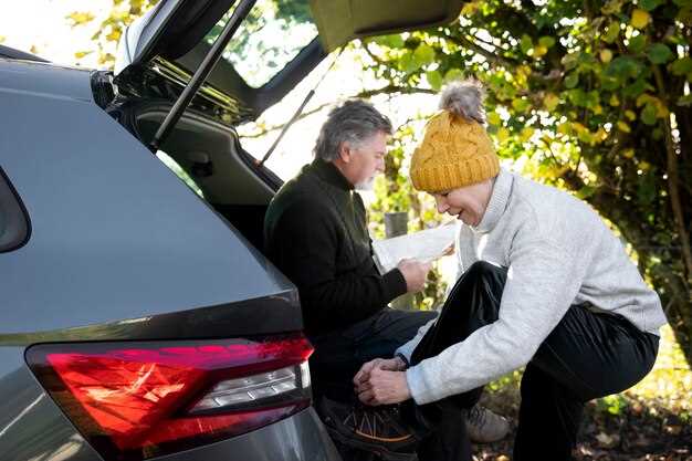 Практические советы по очистке и подготовке перед проверкой