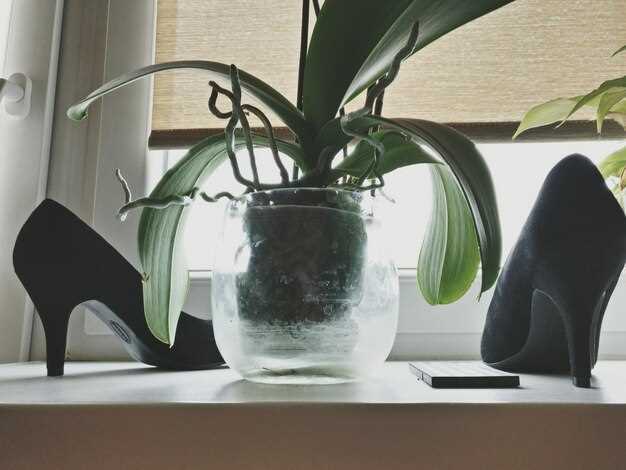 Уход за цоколями ваз: советы и лайфхаки