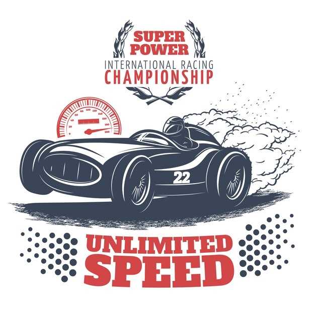 Стратегия и тактика пилота во время гонки