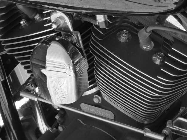 Процесс крепления защиты: последовательность действий и советы по качественной фиксации